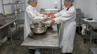 Élelmiszeripari és feldolgozó üzemek fejlesztésének támogatása 17